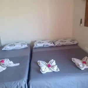 check availability